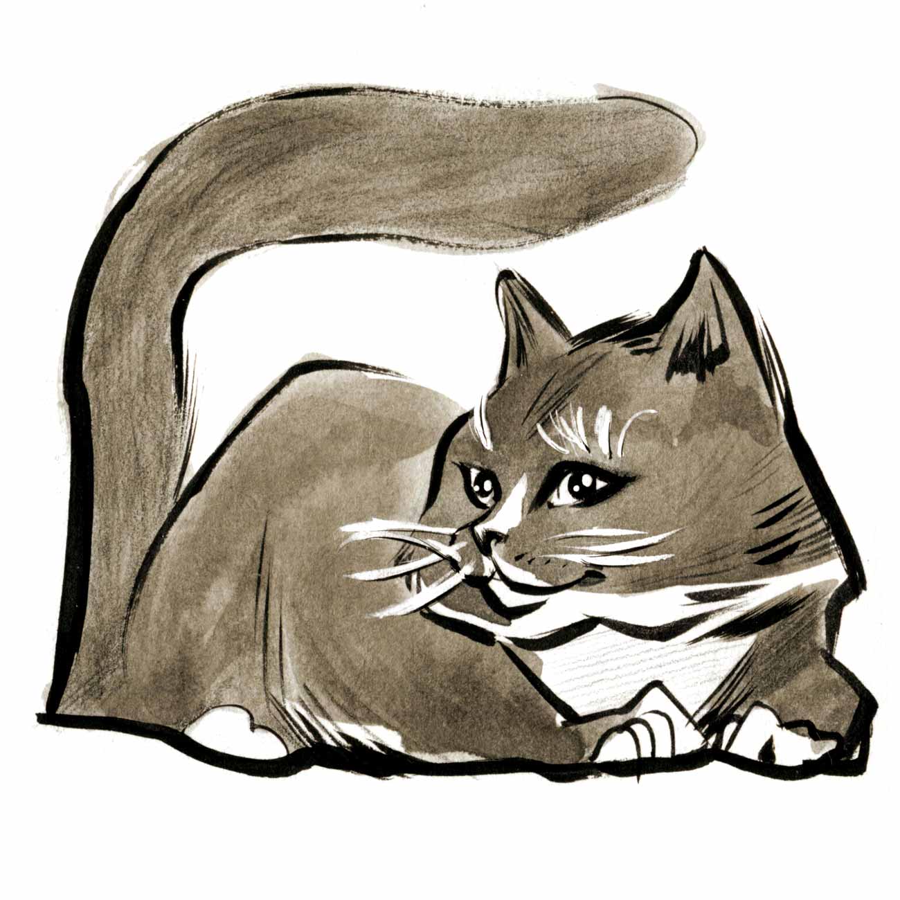 Mama Bear cat illustration pen and ink